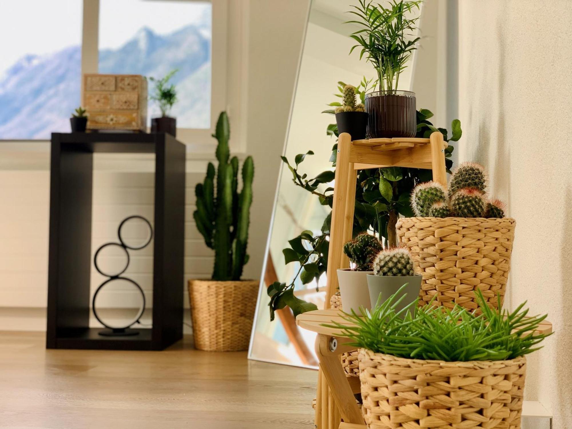 Eva O Wellnessoasis O Montainview O Pizzaoven O Apartment Ingenbohl Bagian luar foto
