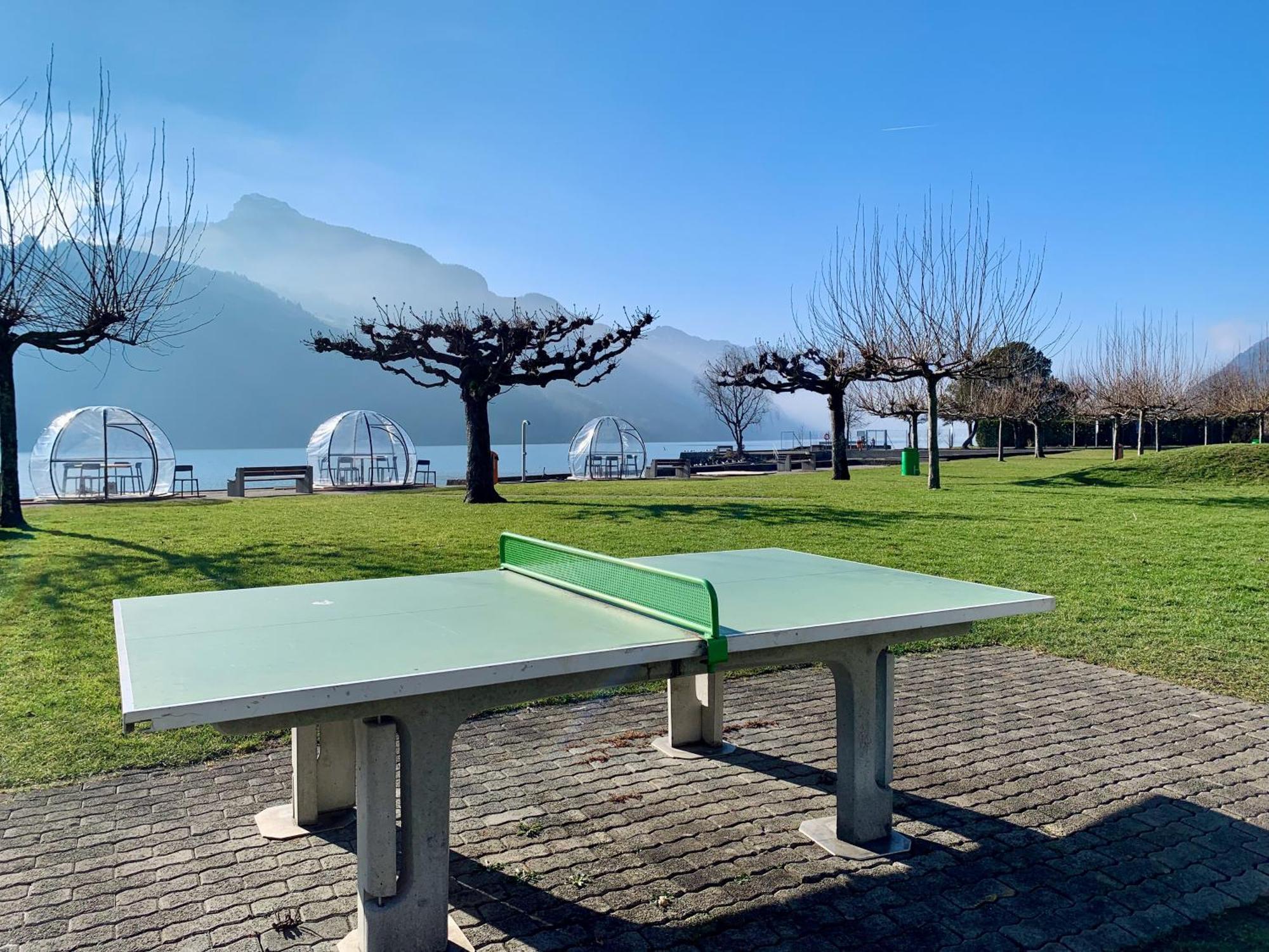 Eva O Wellnessoasis O Montainview O Pizzaoven O Apartment Ingenbohl Bagian luar foto