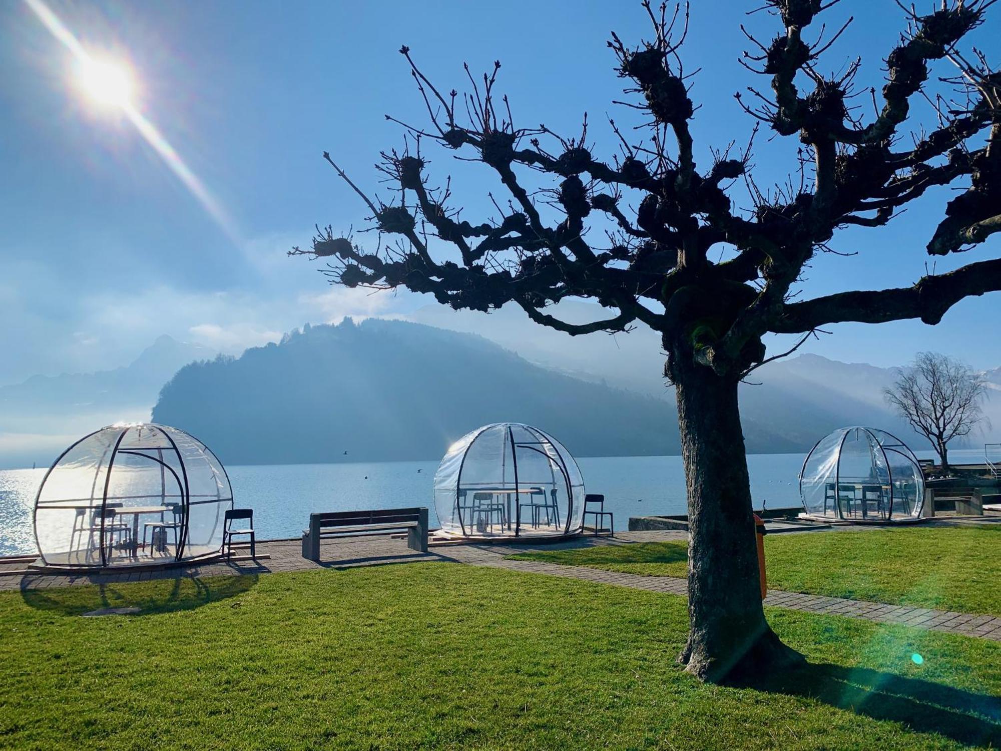 Eva O Wellnessoasis O Montainview O Pizzaoven O Apartment Ingenbohl Bagian luar foto